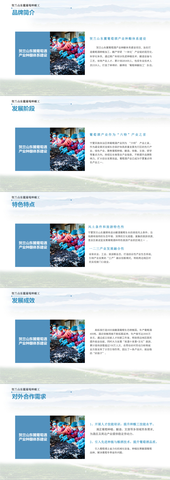 宁夏贺兰山东麓葡萄种酿工