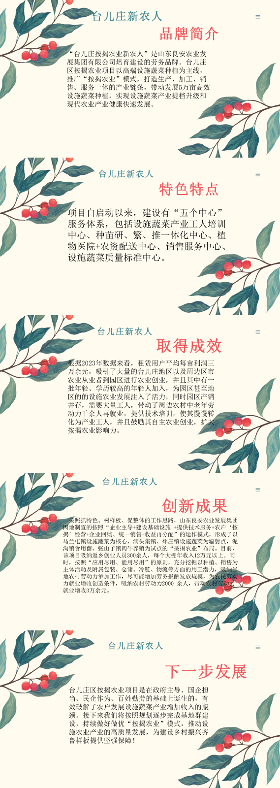 台儿庄新农人